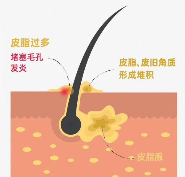 微信图片_2025-07-16_142518_641.png
